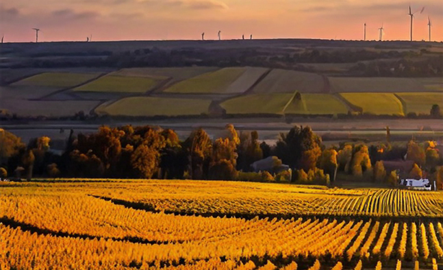 sustainability report